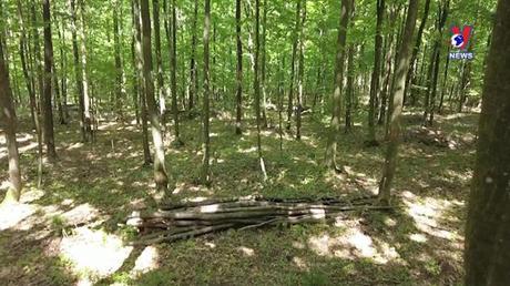 Cuộc sống xanh ngày 18/9/2022