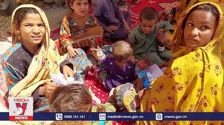 Nga đề nghị cung cấp lúa mì và khí đốt cho Pakistan