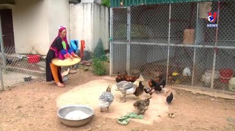 Học Bác mỗi ngày: Bác Hồ với xóa đói giảm nghèo