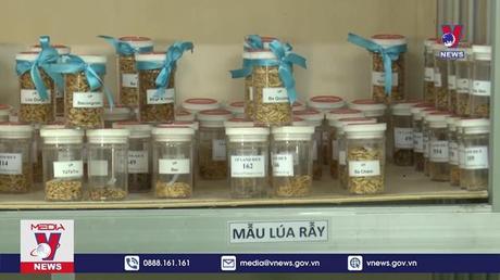 Bản tin thời sự 06h ngày 19/9/2022