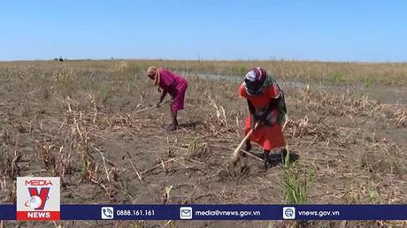 Khủng hoảng lương thực có thể kéo sang năm 2023