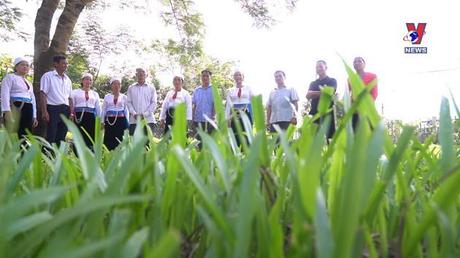 Hành trình Việt số 169 : Bản Mường lưu truyền câu Hát Đúm 