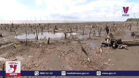 Người dân ven viển Bến Tre khốn khổ vì sạt lở 