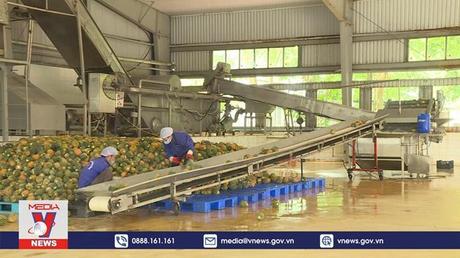 Báo Malaysia đánh giá cao vị thế nông sản Việt Nam