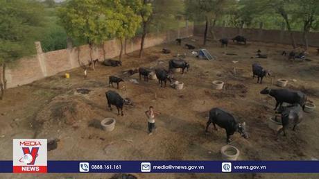 Nạn đói sau lũ lụt tai Pakistan