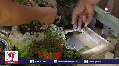 Cả nước ghi nhận trên 211.000 ca sốt xuất huyết