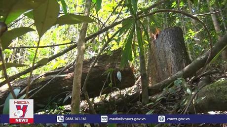 Khen thưởng đột xuất Công an huyện Sa Thầy trong phá án