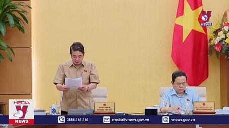 Cho ý kiến về dự án Luật Đấu thầu (sửa đổi)