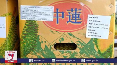 Lâm Đồng xuất khẩu hơn 70 tấn sầu riêng đầu tiên sang Trung Quốc