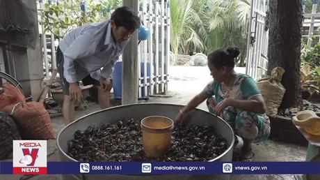 Nghề đặt lọp cua đồng mùa lũ ở Đồng Tháp