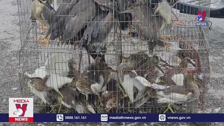 Chim trời bày bán tràn lan ở Hà Nam
