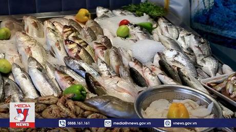 Dự án thúc đẩy ngư nghiệp ở Dải Gaza