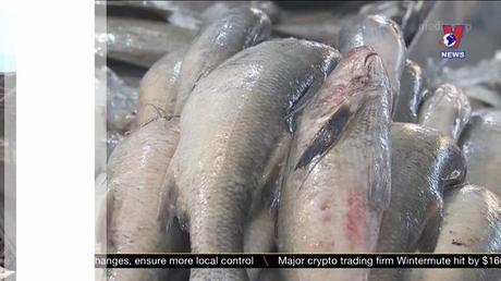 Nhật trình kinh tế ngày 22/9/2022