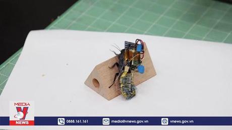 Gián cyborg và sứ mệnh tìm kiếm cứu nạn