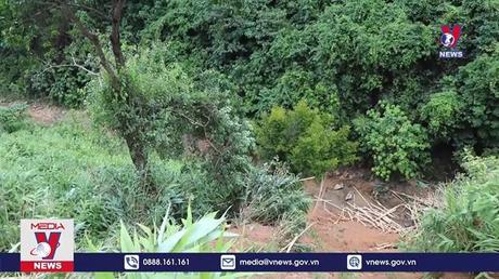 Thừa Thiên – Huế bắt tài xế gây TNGT làm 4 người tử vong