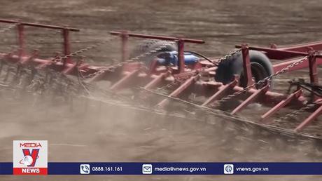 Thế giới cần khẩn cấp ngăn khủng hoảng lương thực toàn cầu