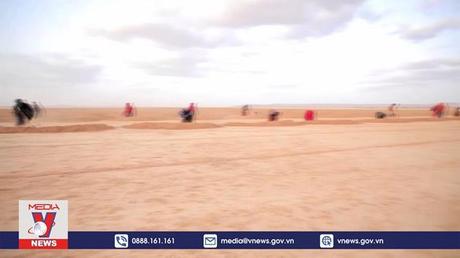 Hạn hán nghiêm trọng tác động mạnh đến vùng Sừng châu Phi