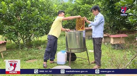 Bản tin thời sự 11h ngày 23/9/2022