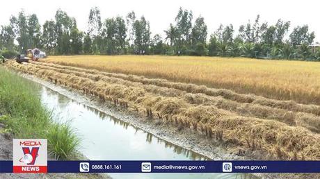 Bạc Liêu quan tâm nâng cao đời sống đồng bào dân tộc Khmer