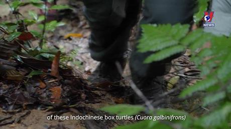 Văn hóa toàn cảnh ngày 24/9/2022