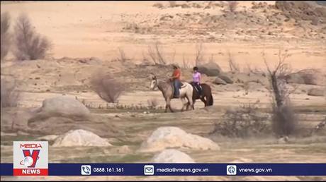 Thế giới 360 độ: Việt Nam và trọng trách thế giới mới