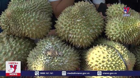 Bản tin thời sự 11h ngày 24/09/2022