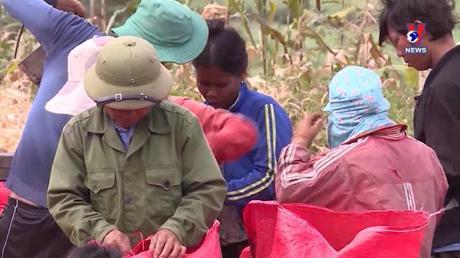 Tín dụng cho người nghèo: Vốn tín dụng chính sách - Bệ đỡ cho người nghèo