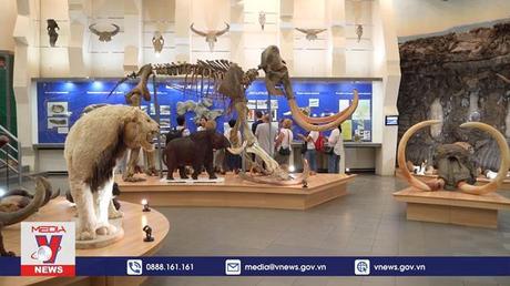 Thăm Bảo tàng voi mammoth đặc sắc của nước Nga