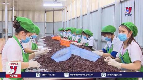 Đề xuất hợp đồng lao động 1 tháng được tham gia Bảo hiểm Tự nguyện