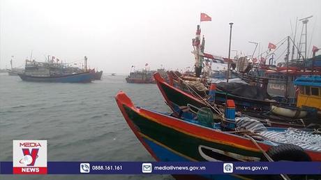 Huyện Lý Sơn không còn tầu cá trong vùng nguy hiểm