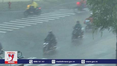 Những tác động của cơn bão số 4