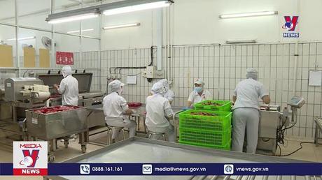 Bản tin thời sự 08h ngày 26/09/2022