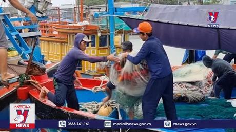 Ninh Thuận nghiêm cấm tàu tuyền ra khơi đánh bắt và hoạt động trên biển