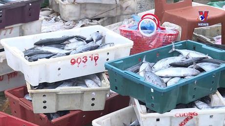 Nhật trình kinh tế ngày 26/9/2022