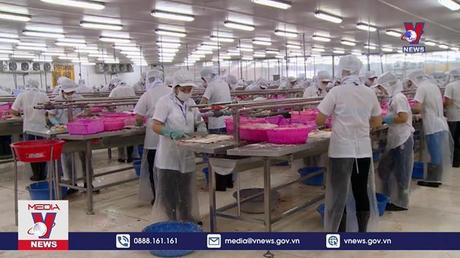 Giá cá tra Việt Nam nhập khẩu vào Mỹ tăng 56% 