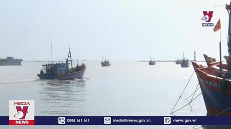 Tăng cường các biện pháp chống khai thác hải sản bất hợp pháp 