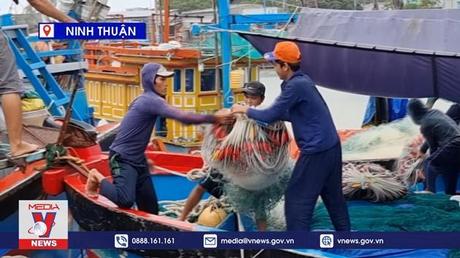 Ngư dân hối hả về bờ bán hải sản, tránh bão Noru