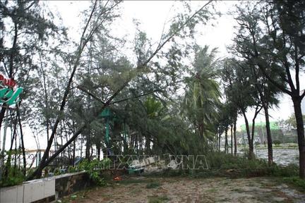 Bão Noru đổ bộ vào Đà Nẵng gây mưa to, làm đổ cây, hất tung nhiều mái nhà