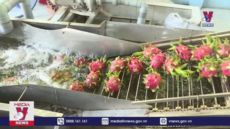 Bản tin thời sự 20h ngày 28/09/2022