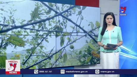 Lượng người dùng trên các nền tảng số Việt Nam tăng mạnh