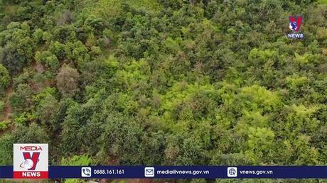 Bản tin thời sự 08h ngày 29/9/2022