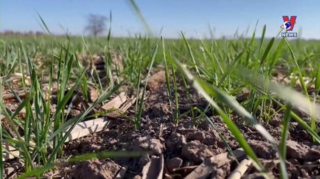 Khoa học và Công nghệ: Bảo tàng 4.0