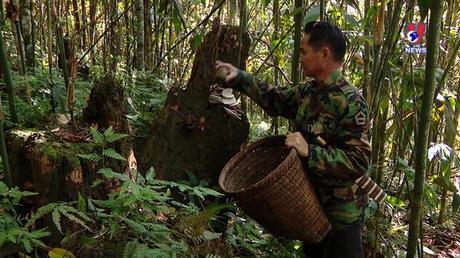 Nhật trình kinh tế ngày 29/9/2022