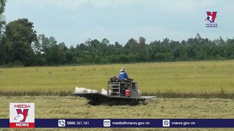 Tiền Giang khẩn trương thu hoạch lúa những địa bàn khó khăn