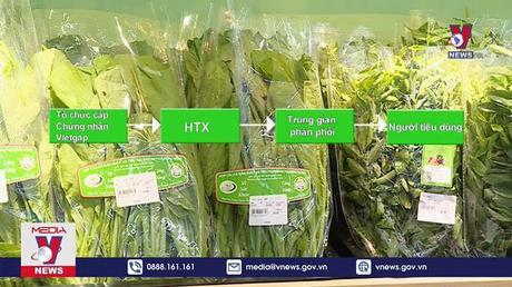 Nhiều bất cập trong cấp chứng nhận Vietgap 