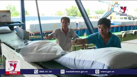 Khuyến cáo cân đối xuất khẩu gạo 