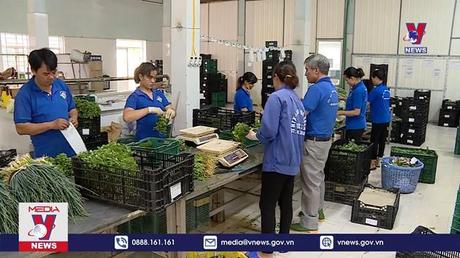 Bản tin thời sự 11h ngày 30/9/2022