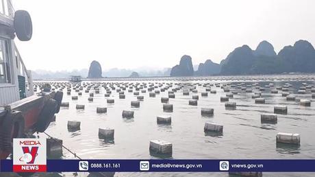 Quảng Ninh khai trừ Đảng 4 cán bộ nhận hối lộ 