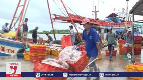 Ngư dân Bạc Liêu nỗ lực vươn khơi bám biển