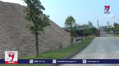 Tăng động lực cho phát triển vận tải hàng hóa bằng container qua cảng Nghi Sơn 